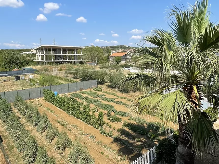 Immagine 15 di Terreno industriale in vendita  a Città Sant'angelo