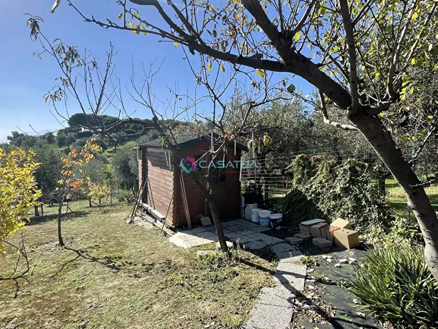 Immagine 41 di Casa indipendente in vendita  a Silvi