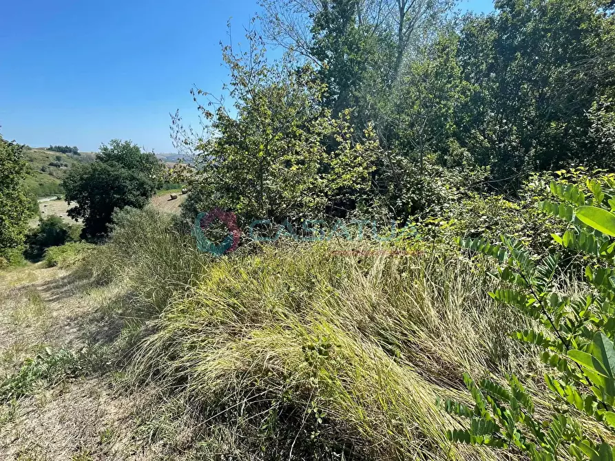 Immagine 29 di Casa indipendente in vendita  a Civitella Casanova
