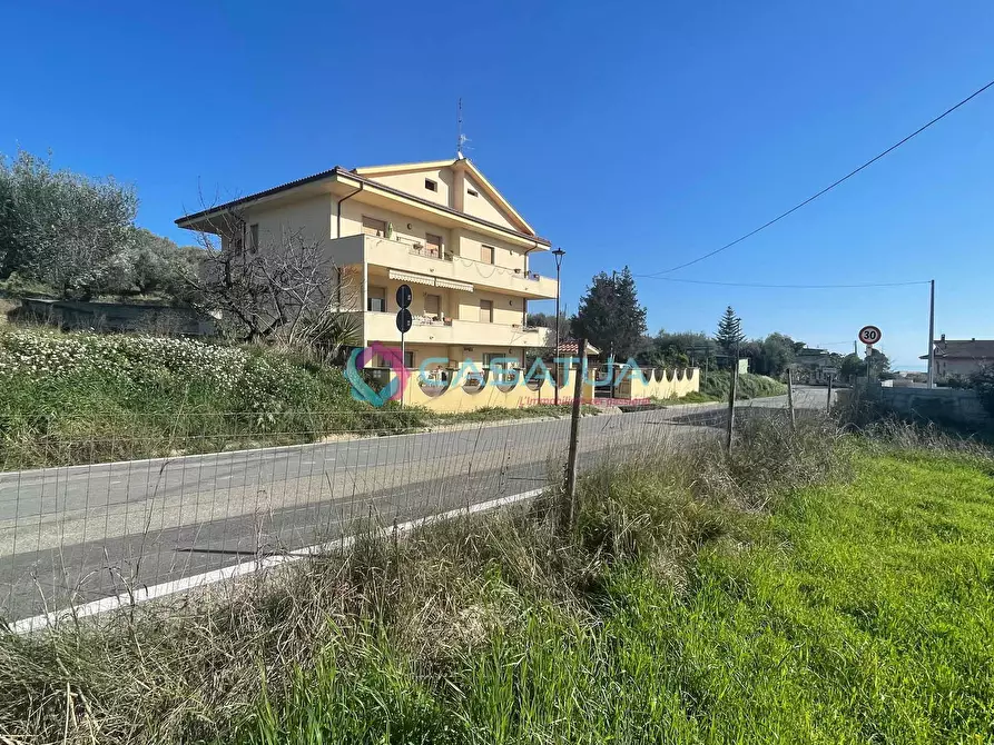 Immagine 23 di Terreno agricolo in vendita  a Silvi