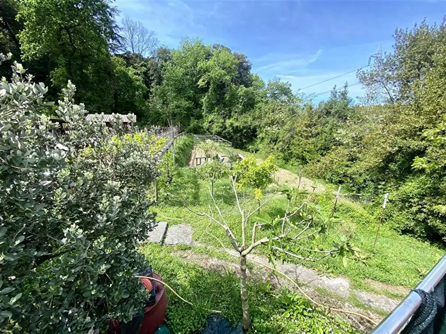 Immagine 44 di Villa in vendita  in Via Paternino 33 a Sarzana