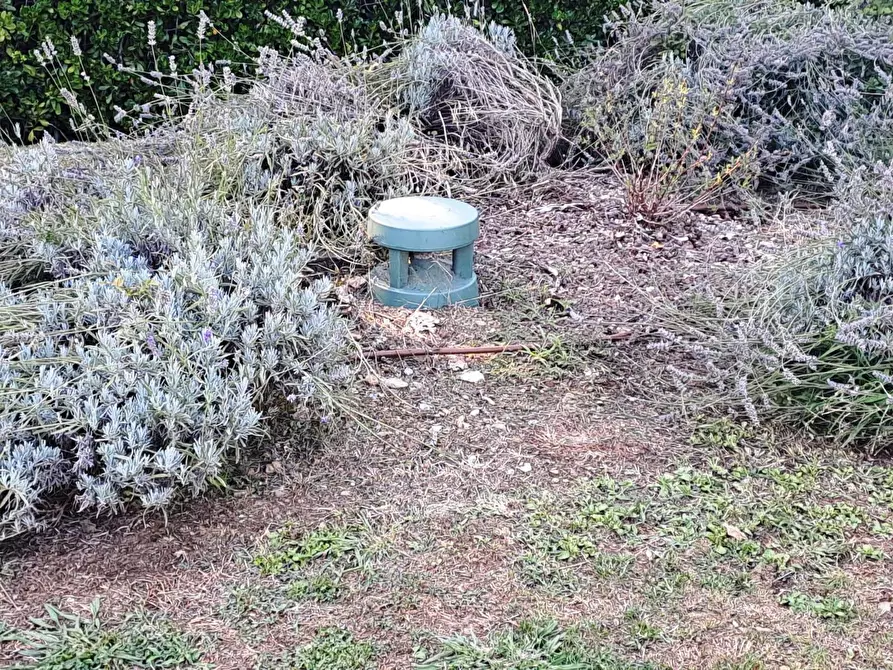 Immagine 52 di Rustico / casale in vendita  in Via Soggia 6 a Sarzana