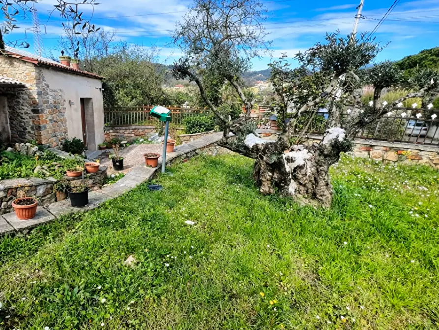 Immagine 1 di Porzione di casa in affitto  in Via Sarzanello 170 a Sarzana