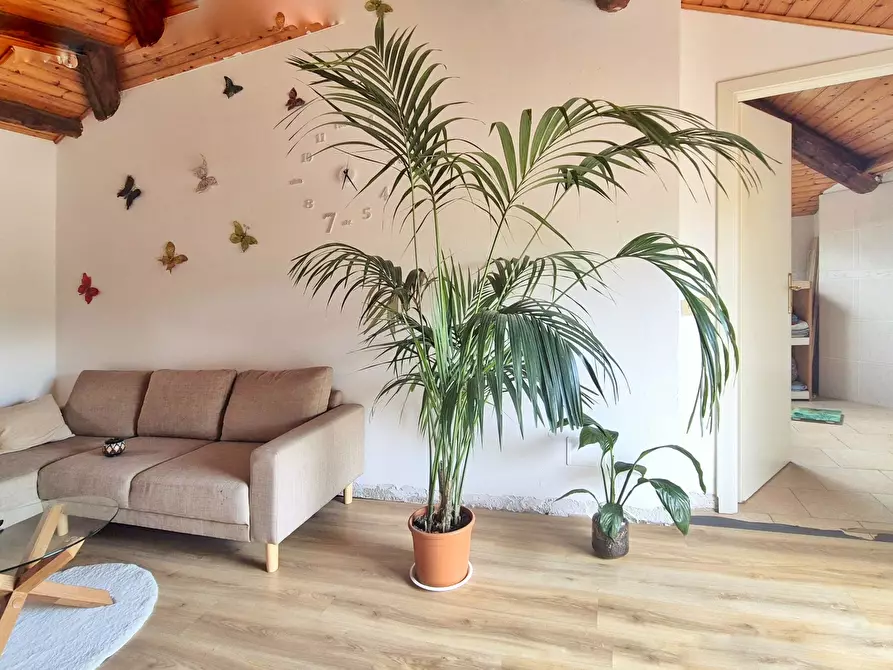 Immagine 10 di Porzione di casa in vendita  in Via Canonica 18A a Arcola