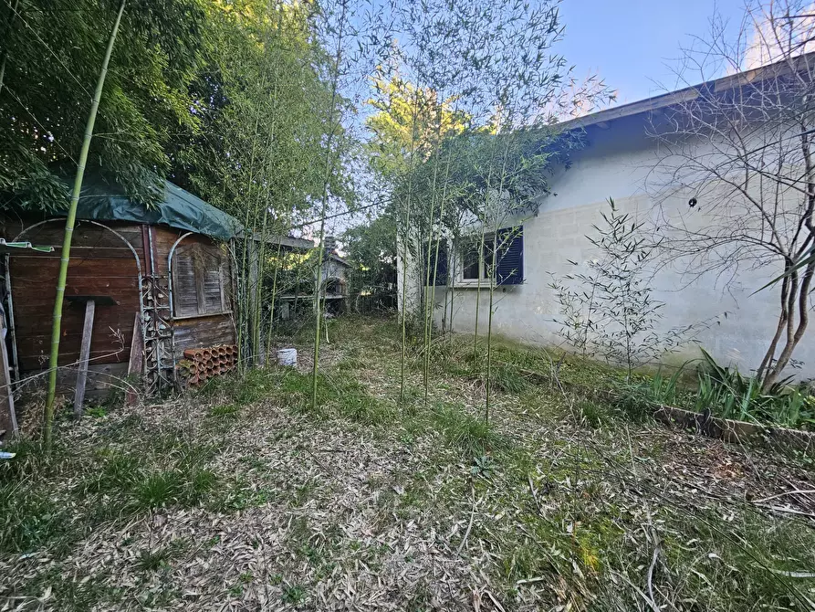 Immagine 5 di Rustico / casale in vendita  a Ameglia