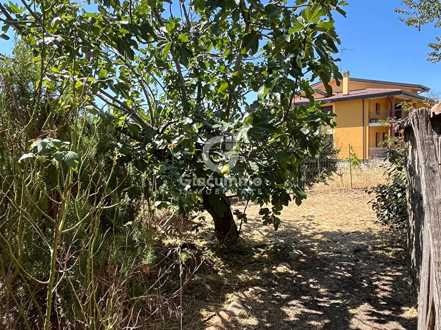 Immagine 17 di Casa indipendente in vendita  in Largo Gagliardi a Avigliano