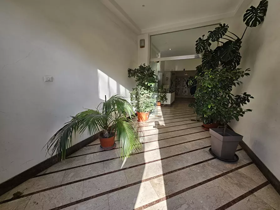 Immagine 17 di Trilocale in affitto  a Palermo