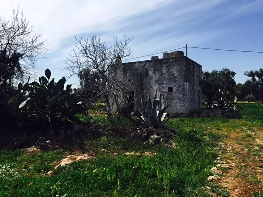 Immagine 9 di Terreno edificabile in vendita  in Contrada Giovannarolla a Ostuni