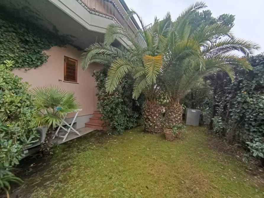 Immagine 4 di Trilocale in affitto  a Massa