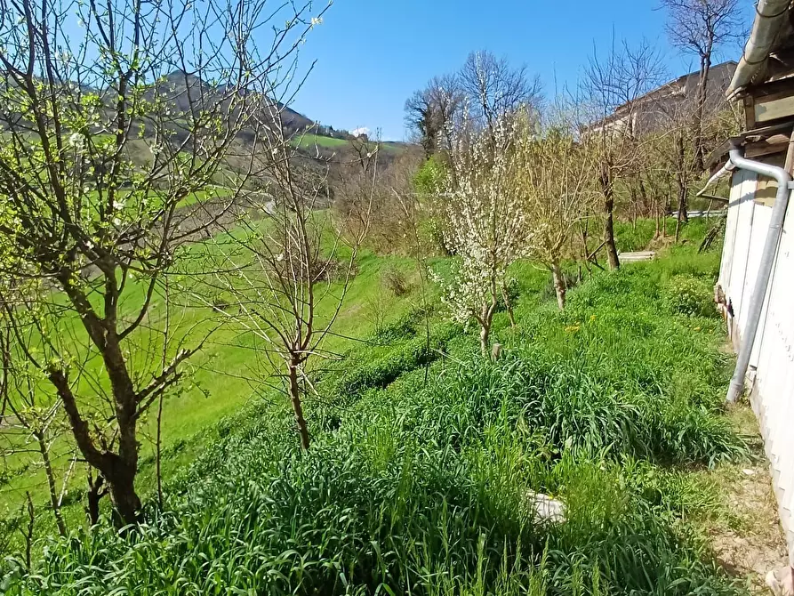 Immagine 31 di Quadrilocale in vendita  a Fornovo Di Taro