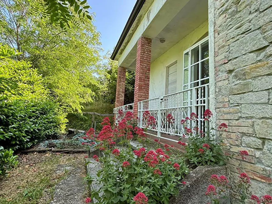 Immagine 6 di Casa indipendente in vendita  a Terenzo