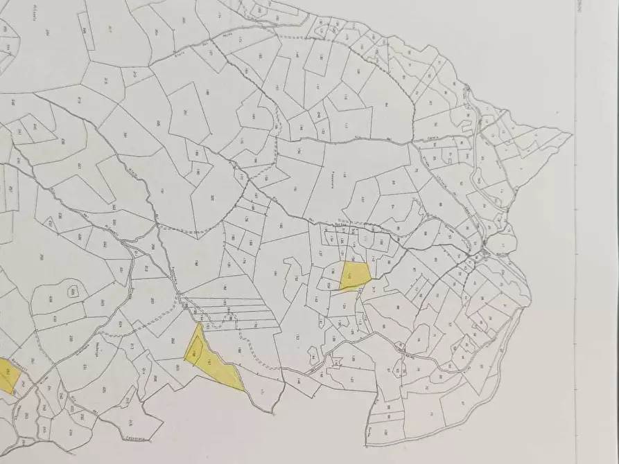 Immagine 42 di Terratetto in vendita  a Terenzo
