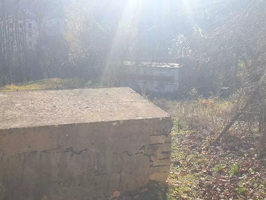 Immagine 15 di Porzione di casa in vendita  a Varsi