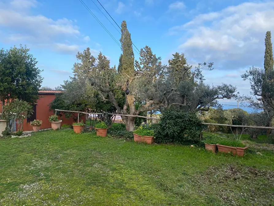 Immagine 1 di Casa indipendente in vendita  in Via della Grotta a Monte Argentario