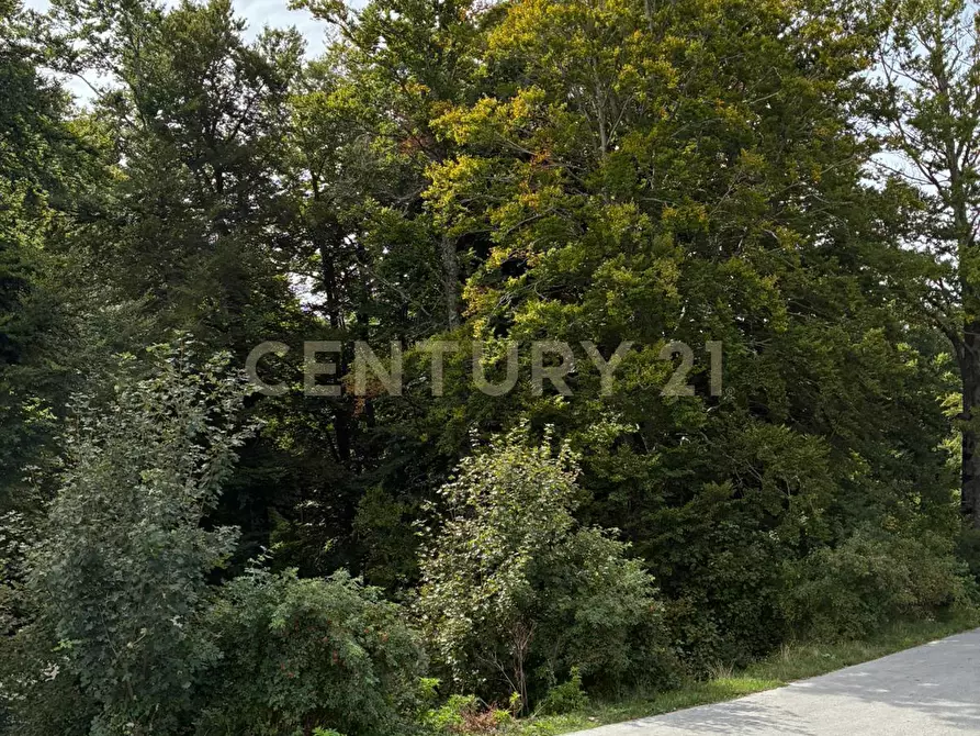 Immagine 8 di Casa indipendente in vendita  in Via morbano a Cappadocia