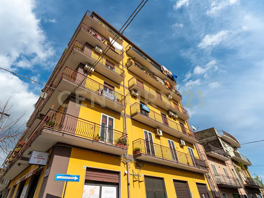 Immagine 34 di Trilocale in vendita  in Via Veronica 6767 a Aci Sant'antonio