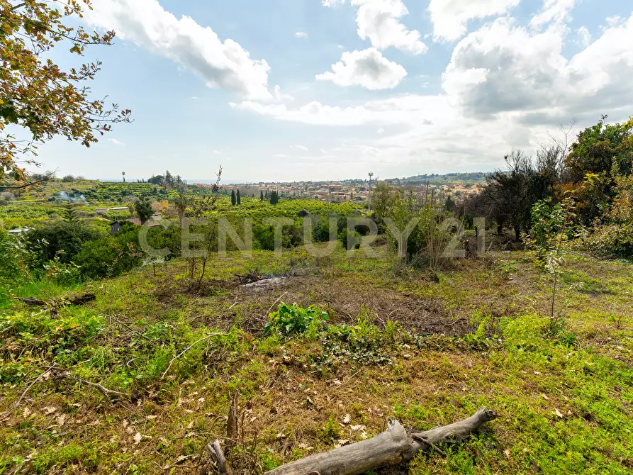 Immagine 16 di Terreno agricolo in vendita  in via giuseppe zinghirino 1 a Giarre