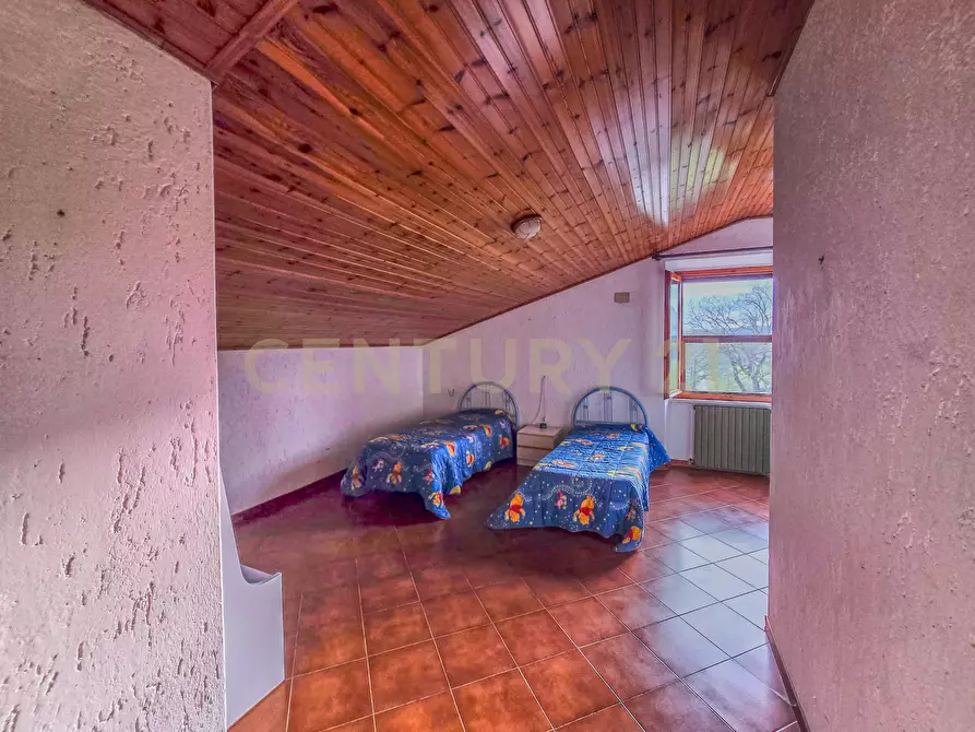 Immagine 10 di Terratetto in vendita  in Strada Interpoderale delle Baracche 5 a Civitella Paganico