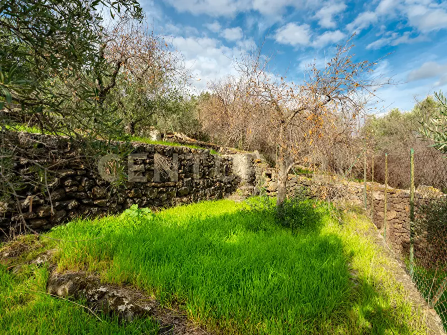 Immagine 24 di Terreno agricolo in vendita  in Via Cerza 35 a San Gregorio Di Catania