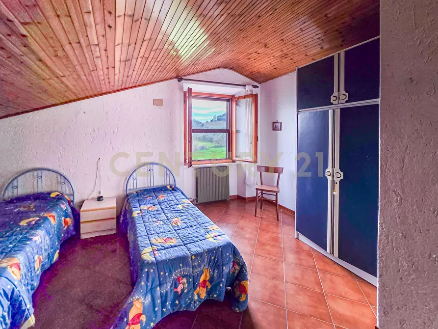 Immagine 19 di Terratetto in vendita  in Strada Interpoderale delle Baracche 5 a Civitella Paganico