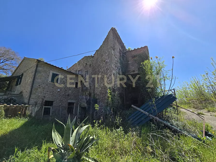 Immagine 41 di Rustico / casale in vendita  in Via di Lattaia a Roccastrada