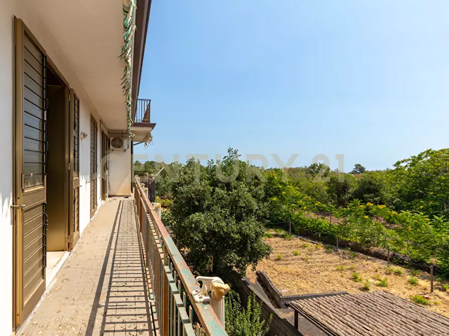 Immagine 34 di Pentalocale in vendita  in Via Vittorio Emanuele 181 a Viagrande