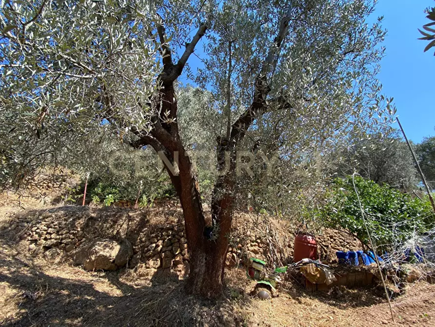 Immagine 6 di Rustico / casale in vendita  in Via del Campone 68A a Monte Argentario