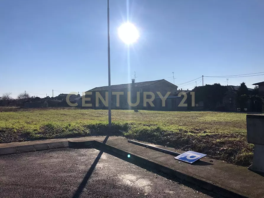 Immagine 3 di Terreno agricolo in vendita  in Via Angiaresca snc a San Pietro Di Morubio