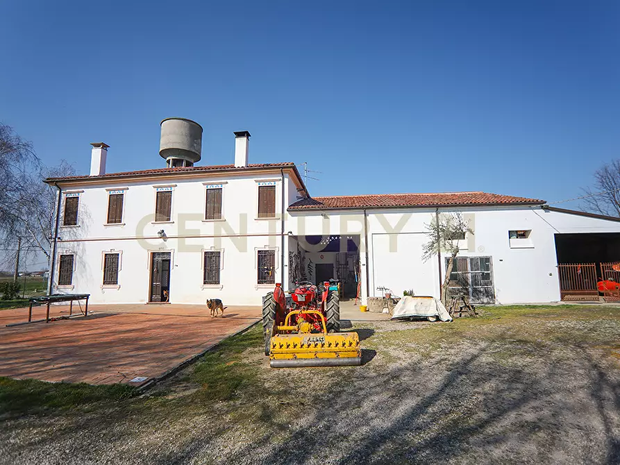 Immagine 13 di Rustico / casale in vendita  in Via Trento 70 a Minerbe