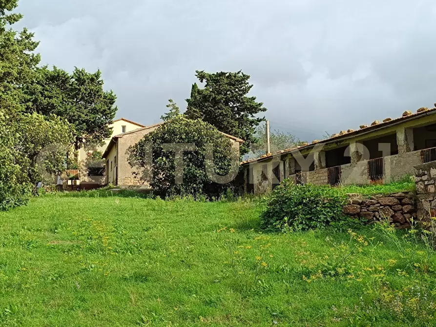 Immagine 21 di Casa indipendente in vendita  in località le croste snc a Manciano