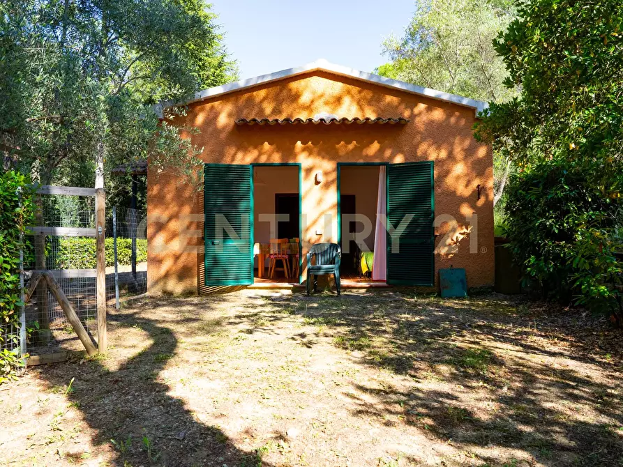 Immagine 30 di Rustico / casale in vendita  a Cinigiano