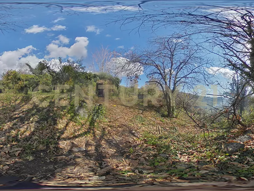 Immagine 37 di Terreno agricolo in vendita  in via giuseppe zinghirino 1 a Giarre