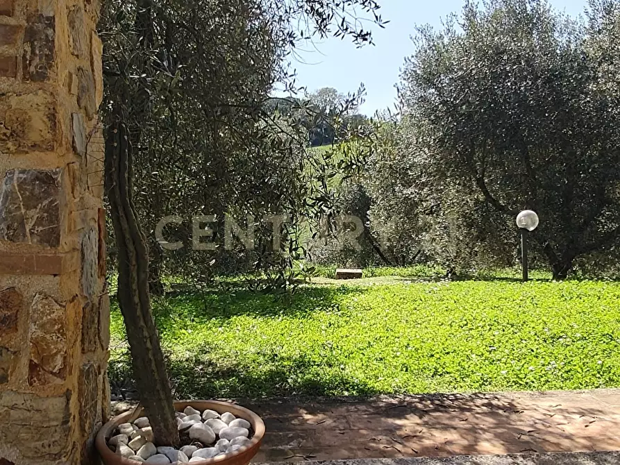 Immagine 27 di Rustico / casale in vendita  in località spinicci snc a Manciano