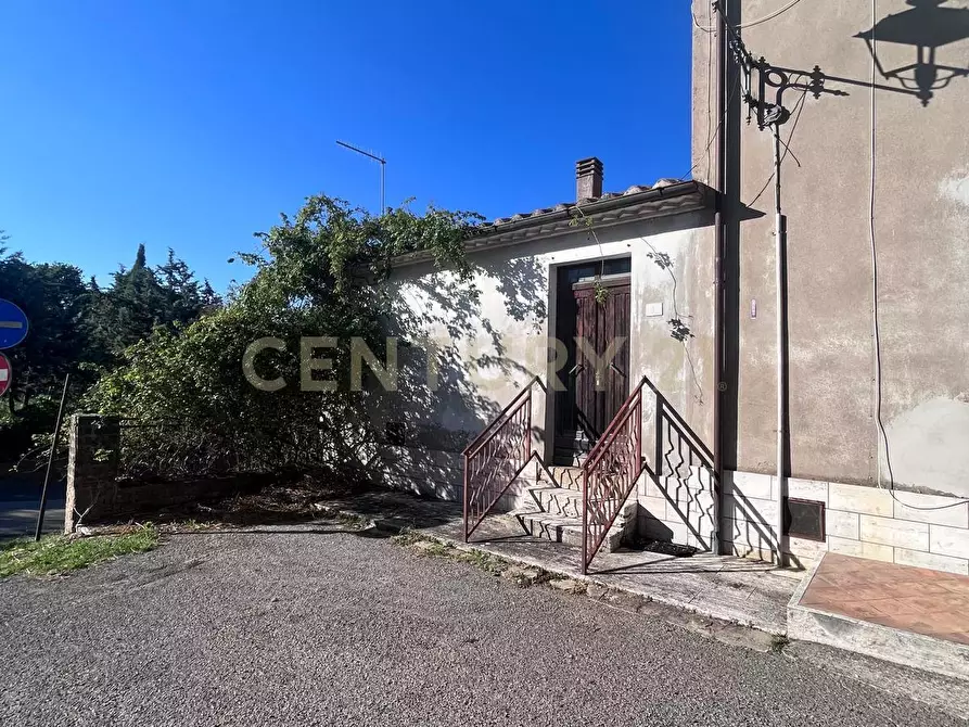 Immagine 14 di Terratetto in vendita  in Località Poggio Murella a Manciano