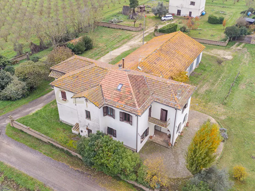 Immagine 26 di Rustico / casale in vendita  in Strada Provinciale Sipiccianese a Bomarzo