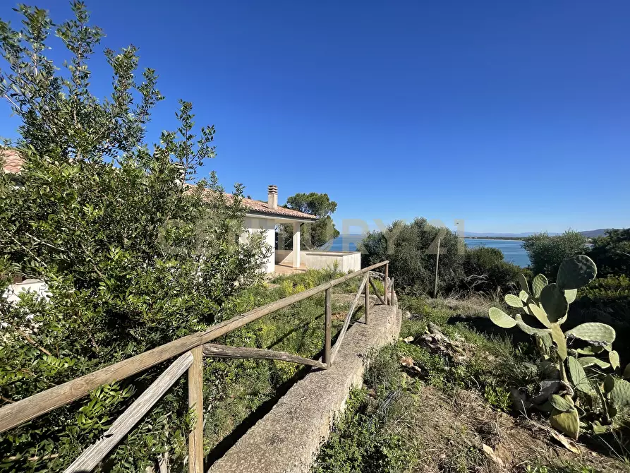 Immagine 28 di Villa in vendita  in località santa liberata a Monte Argentario