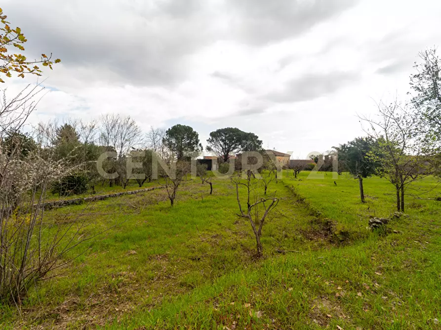 Immagine 31 di Casa indipendente in vendita  in Via Armando Diaz 83 a Zafferana Etnea