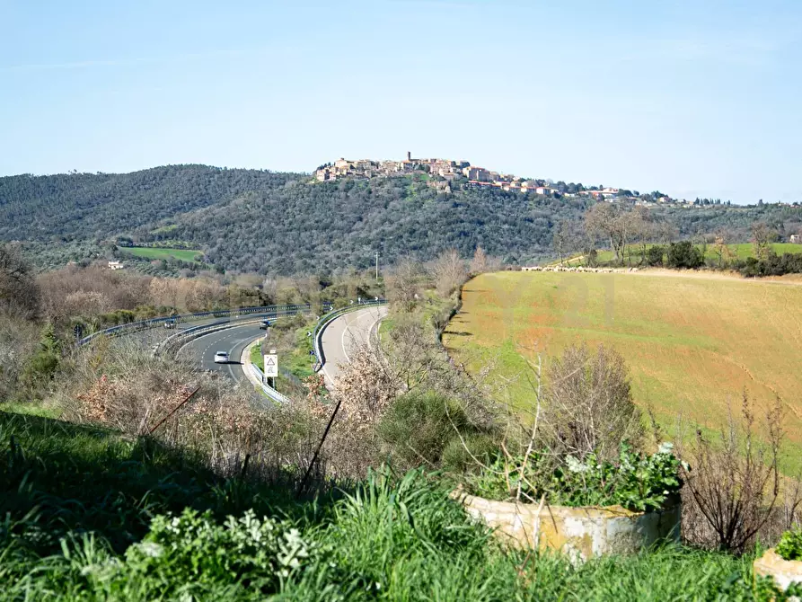 Immagine 4 di Porzione di casa in vendita  a Civitella Paganico