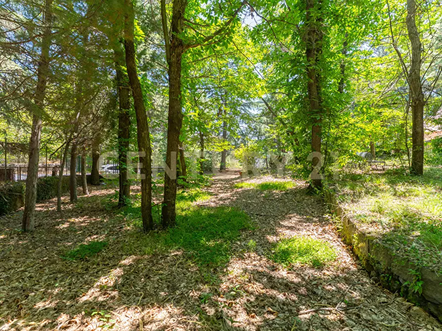 Immagine 8 di Villa in affitto  in Strada Regionale Mareneve SNC a Linguaglossa
