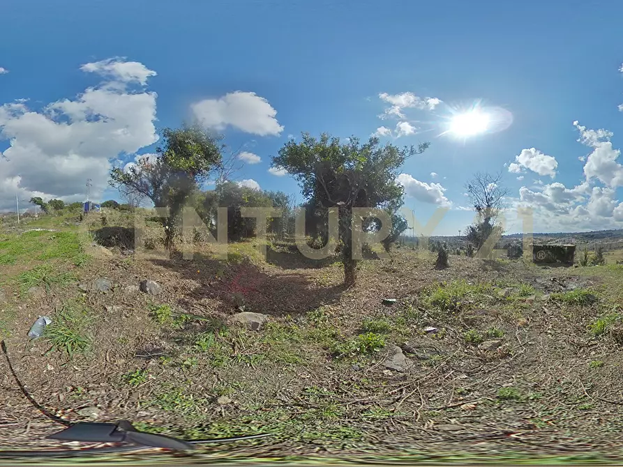 Immagine 34 di Terreno agricolo in vendita  in via giuseppe zinghirino 1 a Giarre