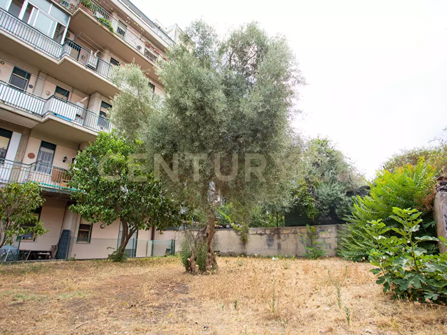 Immagine 1 di Trilocale in vendita  in Via Francesco Guglielmino 18 a Catania