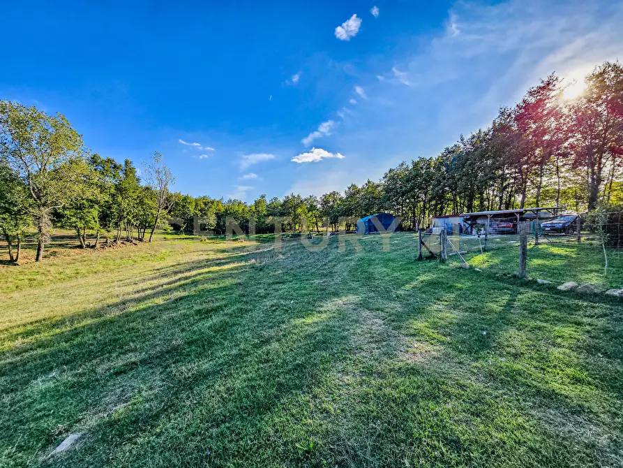 Immagine 21 di Rustico / casale in vendita  in Località Scovaventi 1 a Semproniano
