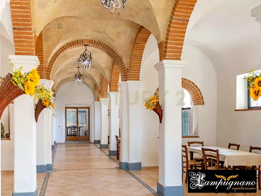 Immagine 23 di Rustico / casale in vendita  in agriturismo lampugnano 47 a Civitella Paganico