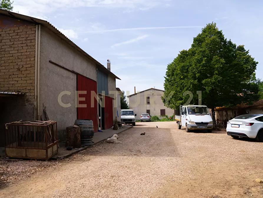 Immagine 14 di Rustico / casale in vendita  in LOCALITA PINZUTI a Manciano