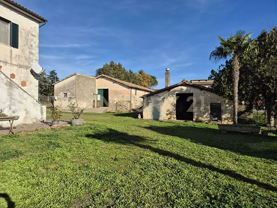 Immagine 23 di Rustico / casale in vendita  in località aratrice a Civitella Paganico