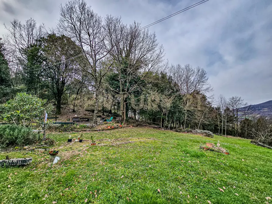 Immagine 12 di Rustico / casale in vendita  in Località Camaiano snc a Roccastrada