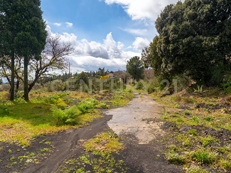 Immagine 24 di Villa in vendita  in Via Nocille 55 a Mascali