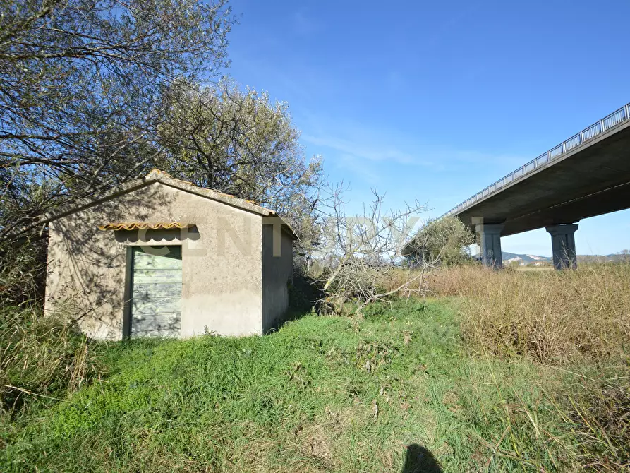 casa indipendente in vendita a Grosseto in zona Istia d'Ombrone-Le Stiacciole