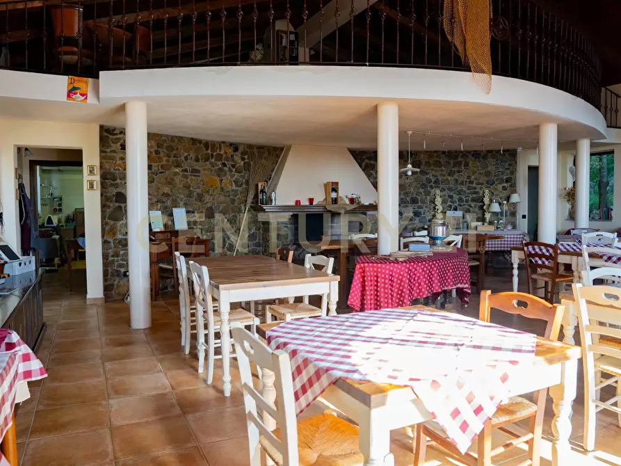 Immagine 58 di Rustico / casale in vendita  a Cinigiano