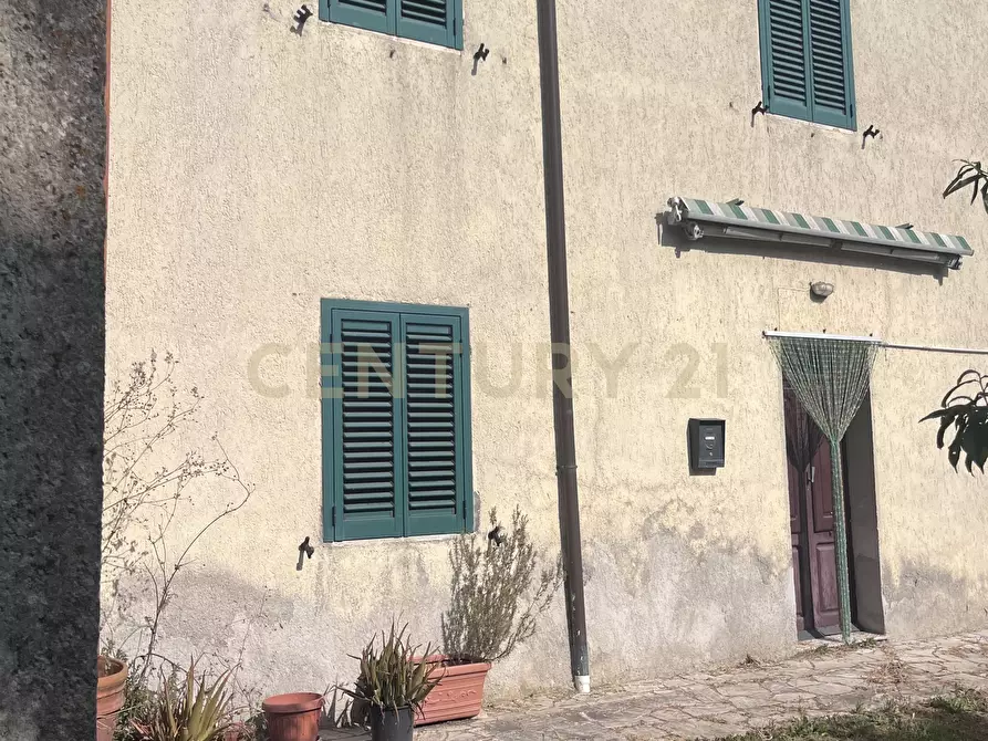 Immagine 12 di Casa bifamiliare in vendita  in Località Poggio Murella 120 a Manciano